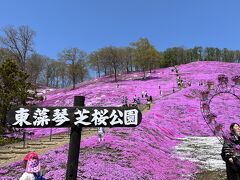 引っ越し荷物運搬第２便　(芝桜公園のはしご)