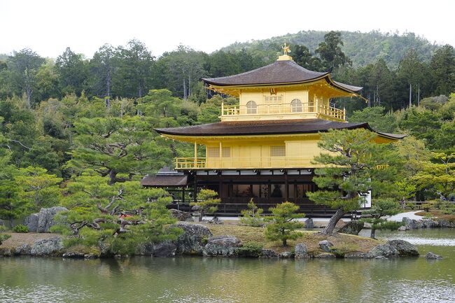 京都で生まれ育っていながら意外と行っていない金閣寺。この度、念願かなって行ってみましたが、なんとほとんどが外国人。ここ以外も京都の主要な観光地は「ガイジン」だらけでした。