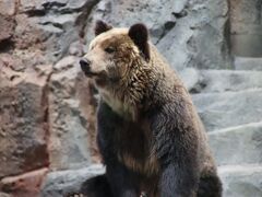 北海道大好き！３日目　銀河・流星の滝　旭山動物園　富良野