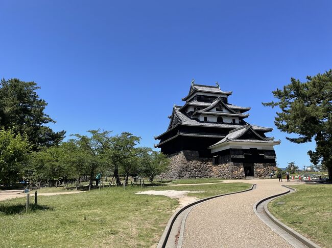 今回の旅行は出雲大社へ行く。<br />伊丹空港から出雲空港へ<br />1日目は松江城あたりを散策。<br />2日目は目標の出雲詣で。<br />