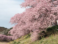 気ままに写真旅～伊豆下田～