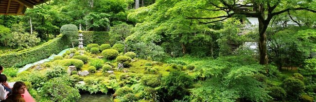 今年は父方の姉の十三回忌です。いつも墓参りに出掛ける河内長野に住んでいた伯母さんです。<br />お墓のことでお世話戴いているお寺で法事を執り行うことにしました。<br />七年は、その伯母の勧めで通い続けてきた天王寺の一心寺で行ったのですが、十三回忌の準備中、本人が住んでいたエリアの方が良いと考えて変更しました。<br /><br />その法事は25日に無事終わったので、本日26日は、はるばる埼玉から来られた親戚を、近畿の希望地へ案内する日です。<br />最初は明日香村方面と聞いていましたが、三千院へ行ったことが無いと言う話や彦根城などが浮上し、最終的には三千院メインで、数年前に土砂降りの目に合ってしまい何だか良く判らなかった南禅寺のリベンジと言う事になりました。<br />先ずは三千院から^^<br />別に恋には疲れてはいませんけど。