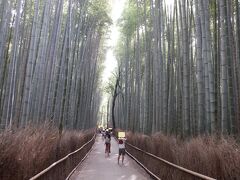 Ｅ　ＪＵＮ　２０２３　　「ＫＹＯＴＯ・・・・・④竹林の小径」