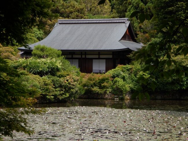 嵐電を降りた後は龍安寺に行きました。