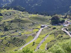 谷汲山華厳寺と岐阜のマチュピチュ天空の茶畑