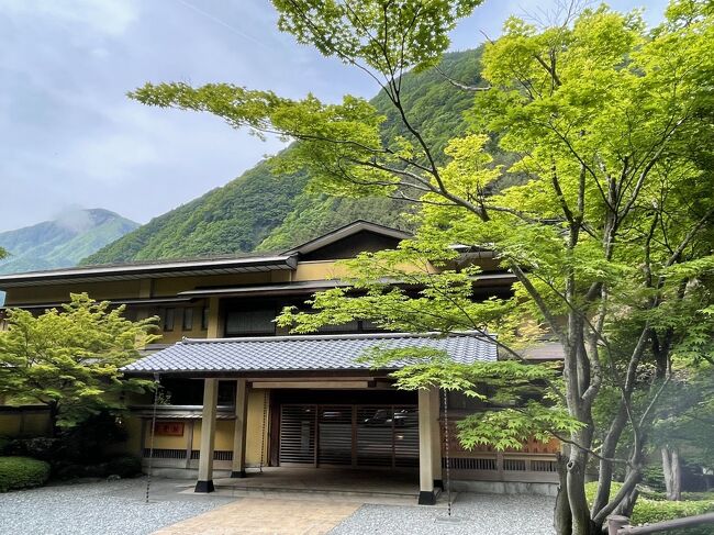 山梨県早川町にある世界最古の宿「西山温泉慶雲館」はずっと行って見たい旅館でした。<br />山間に流れる早川沿いに佇む一軒宿、、なんと1300年前、慶雲年間に開湯した、世界一古い温泉宿です。<br /><br />この湯は枯れることなく湧き続け、現在も秘湯として湧き続いています。<br />湯治場となってから1300年余り、2011年に「世界最古のホテル、旅館」としてギネスブックに認定されたお宿です。<br /><br />そんなお宿でまったり、ゆったりしたくて、非日常を味わいに行って来ました。<br />当初は梅雨時期だし、ゆっくりと慶雲館だけをのんびり過ごしてこようと思っていたのですが、、<br />5月27日はお天気が良かったので予定を変え、途中河口湖で富士山を眺め、新緑を楽しみながら慶雲館に向かうことにしました。