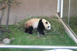 熊野古道（小辺路）４泊で縦走の旅③