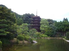 山口県一周（ちょっと島根）の旅①（山口、防府、秋吉台）