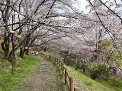 大高取山　越生駅から高麗駅へ