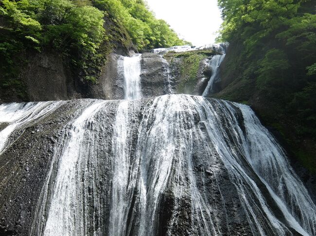 日本三名瀑で唯一行くことができていなかった袋田へ！<br />GWどこへ行こうか、コロナ明けのリバウンドでどこも大混雑予報だし、ということで選ばれたのは袋田の滝でした。<br />周りには美味しいものや温泉もあり、思っていたより何倍も楽しかったです。