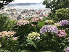 2023 梅雨入り直前、紫陽花を楽しみに鎌倉へ＠長谷寺＋光則寺