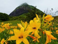 2023年　トビシマカンゾウ咲き誇る、金銀山の島 佐渡へ