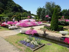 あしかがフラワーパークで花を見る