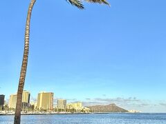 ハワイの明るい話題+おすすめと新しい観光スポット…