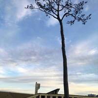 東日本大震災を辿る旅【気仙沼・陸前高田】⑥（旧・下宿定住促進住宅／高田松原津波復興祈念公園）