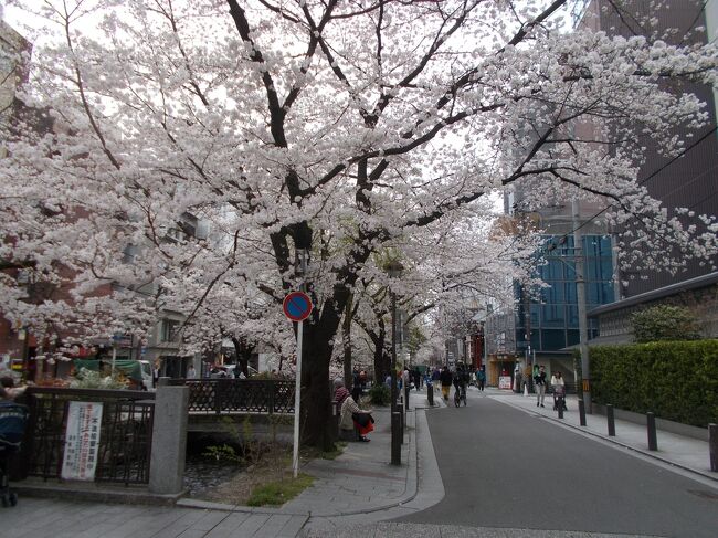 コロナでほとんどイベントは中止だったKの3年間、ようやく日常が戻ってきた？<br /><br />４月より３月に桜は満開、京都の町を歩いた。<br />３月２５日は哲学の道<br />つづいて３０日には伏見港へ<br /><br />４月３０日<br />伏見稲荷大社の稲荷祭の氏子祭は元通りの５基の神輿が京都の町を練り歩いた。みこしの渡御は2019年以来4年ぶり。<br /><br /><br />５月１６日<br />葵祭の巡行に<br />