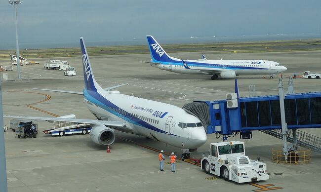 Boeing 737-800 に乗りました。中部空港NGO 8:00 発，新千歳空港CTS 10:15 着， ANA701便。快適な飛行でした。
