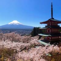 2023年 富士山と桜を追いかけて (3 days) =DAY 2= This is JAPAN!!
