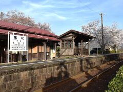 ２つの玄関がある若桜鉄道安部駅～春のホームを彩る寅さん記念植樹の桜～（鳥取）