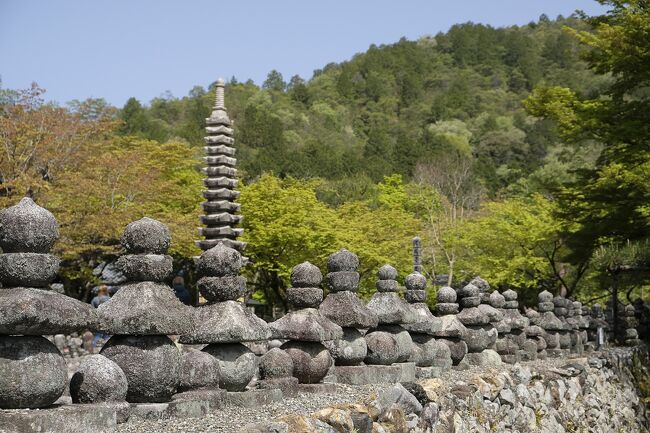 愛宕念仏寺から鳥居本の街並を見ながら、嵯峨野巡りの定番、化野念仏寺を訪れます。<br />子供の頃、自転車で清滝へ行くときは、この鳥居本の狭い道ではなく、車道を走って行ったものです。ガキのころはこの鳥居本の街並のわびさびが分かるはずもなく、歳を取った今では確実に鳥居本の街を行くでしょう。