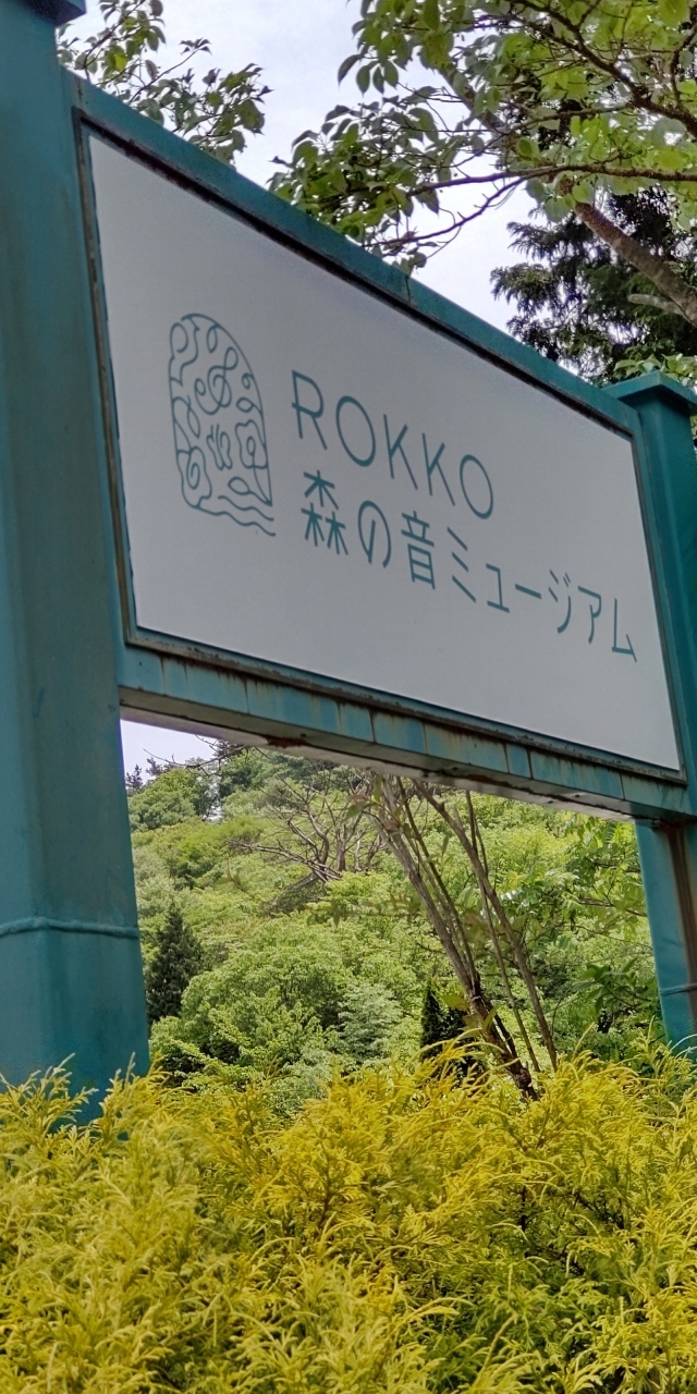 ☆神戸へ行くなら六甲山は外せないでしょう?　と希望してみたけれど、電車で六甲山の麓へ行く方法は少なかった。<br /><br />☆三宮からスタートするより、長男のマンション前からバスが出ているとか～老いては子に従え?　第一弾で出発しよう。<br /><br />☆神戸は坂が多いね。想像していたルートと違う住宅街を抜け、一度乗り換えもあって六甲ケーブル下迄およそ１時間半～<br /><br />☆ここでケーブル＆山頂への共通ルート券を求め、かなり古いけれど結構なスピードのケーブルで１０分間山を登る。（布引より登山は険しそう）<br /><br />☆初日がロープウェイ＆City Loop Bus,翌日は六甲ケーブル＆山頂バス。。。と乗り物尽くしで子供ならわくわくしちゃいそう～<br /><br />☆帰りの新幹線の時間を考えて、今回は”森の音ミュージアム”一本に集中して歩こう～Had a beautiful time and sounds !～