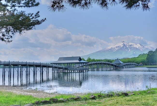 2泊3日の弘前旅の最終日、お昼過ぎの飛行機の便で帰途につく予定でした。せっかく青森まで来たのだから、弘前近郊で午前中のみ使って観光できるところはないか探してみると、弘前から１時間以内で日本一長い木造三連橋『鶴の舞橋』に行けることがわかりました。<br /><br />ここはyokoさんの旅行記でも見たことがあり、岩木山を望む自然豊かなところに湖があって、そこに美しい橋が架かっているとのことでした。&quot;鶴が舞う&quot;という素敵なネーミングの橋だと思っていましたが、実際、そばにタンチョウを飼育する丹頂鶴自然公園があり、そのタンチョウが春に求愛行動として鶴の舞（求愛ダンス）をする姿が見られ、その様子が橋のデザインになっていることがわかりました。<br /><br />あと一日あれば、もっと（青森）観光の選択肢があったのでしょうが、初日と最終日が実質半日というタイトな日程だったため、今回は弘前市内＋鶴の舞橋がメインの旅になりました。