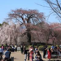 京都で食べ歩き＆石碑の訪ね歩き