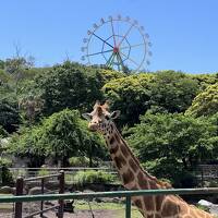 初夏の東伊豆♪温泉＆動物とふれあう1泊2日（後編）