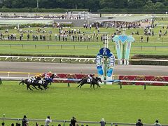 東京競馬場