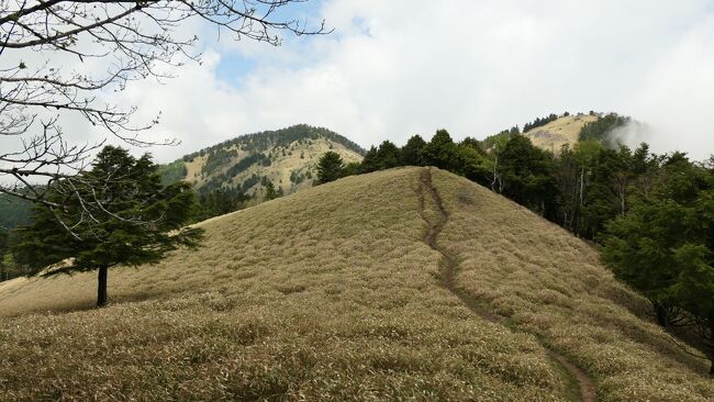 人気の大菩薩嶺・大菩薩峠には何度か登った<br />日本一長い名前の山の頂も踏んだ<br />その際、黒岳も行ったし、湯ノ沢峠も別の日に行ったことがある<br />一方、駅から歩いて行ける山として、滝子山もいつか行ってみようか･･･と漠然と考えていた<br /><br />これらを地図上でプロットしてみると･･･あれ！？全部つながってるぞ！<br />というわけで、このロングトレイルを踏破できたら面白いな、などと･･･<br /><br />取りあえずできるところまでやってみるか！というわけで、第一弾<br />長～い名前と大菩薩をつないでみよう