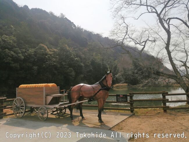 昨年秋に続いて西国三十三所の徒歩巡礼に行きました。<br />初日は鶴居駅から竹田駅までの約39kmです。<br /><br />GPSによる旅程:http://takahide14.stars.ne.jp/Saigoku4/Saigoku4.html<br />スケジュール等:http://takahide14.stars.ne.jp/Saigoku4.html<br /><br /><br />西国三十三所:https://ja.wikipedia.org/wiki/%E8%A5%BF%E5%9B%BD%E4%B8%89%E5%8D%81%E4%B8%89%E6%89%80<br />巡礼道:http://www.saigokuws.com/chizu/gsi/<br />鶴居駅:https://ja.wikipedia.org/wiki/%E9%B6%B4%E5%B1%85%E9%A7%85<br />竹田駅:https://ja.wikipedia.org/wiki/%E7%AB%B9%E7%94%B0%E9%A7%85_(%E5%85%B5%E5%BA%AB%E7%9C%8C)<br />