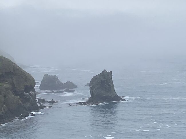 礼文島最終日。<br />お天気は曇りの予報。<br />降らないことを祈りつつ、電動自転車借りて元地方面に行き、時間余ったから、高山植物園に行く。<br />すでにクタクタだけど、ついでに知床へも行ってみる。<br />電動自転車１日3,000円。