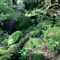 屋久島旅行　3日目（最終日）