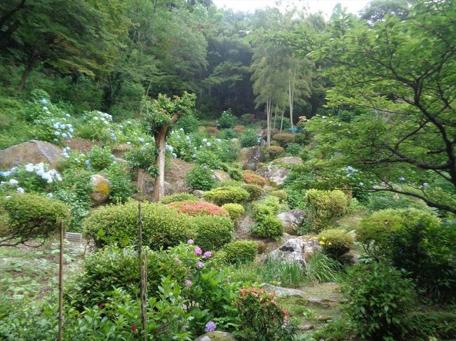 福岡県大牟田市、三池山の麓にある定林寺。近隣ではあじさいの名所として知られています。<br />昨年に続き、今年も訪れてみました。<br />小さな旅行記ですが、お時間のあるときにでも御覧いただければ幸いです。<br /><br />また、９月10日、福岡のテレビ局のローカル番組で「道の駅おおむた 花ぷらす館」が取り上げられて…気になって行ってみました。<br />かなり強引な構成の旅行記になってしまいましたが、ご了承いただきたくお願い申し上げます。<br /><br />（2023/9/14）