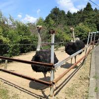 法恩寺跨線橋・ダチョウの楽園・モネの庭・北川村温泉☆四国お遍路ドライブ2023年春⑧-2