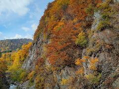 北海道紅葉巡り５日間