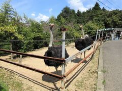 法恩寺跨線橋・ダチョウの楽園・モネの庭・北川村温泉☆四国お遍路ドライブ2023年春⑧-2