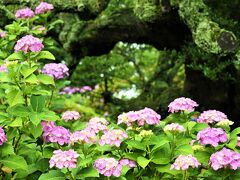 もっと、ザブーン彡を*大洗磯前神社からの～　　日本三名爆*袋田の滝*岩に染み入る滝の音.*