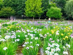 ☆ 旅行支援 割引 ラストの6月 ☆ 北山公園 多摩湖　狭山ベース