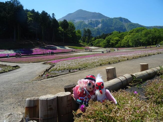 新時代・はじまりの旅　埼玉を探検するヨ！　秩父 → 池袋編 #76