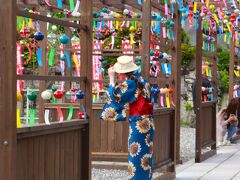 まだ早かった(;'∀')可睡斎ゆり園、可睡斎風鈴まつり＆花いっぱいの浜松フラワーパーク♪　前編