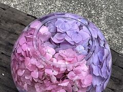 奈良公園ゆったり街歩き！…フランス料理と紫陽花と！