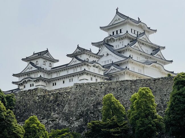 今日はツアー最終日。そしていよいよ姫路城登城の日。果たしてカミさんは天守最上階まで登ることができるのだろうか。