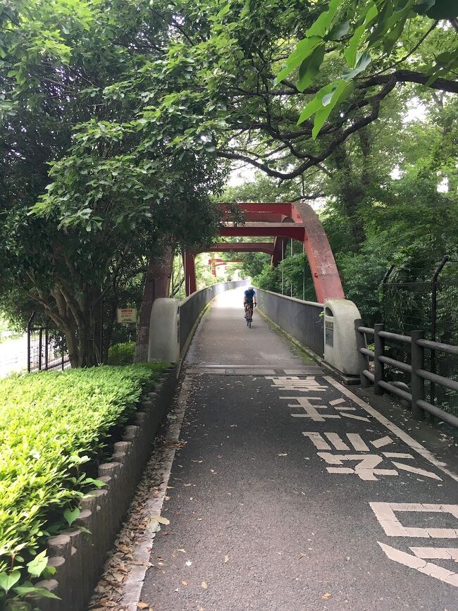 【東京を自転車で走る旅】(7) 多摩湖自転車道・周回部 序盤
