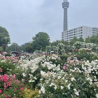 還暦同級生呑んだくれ旅～横浜・鎌倉①