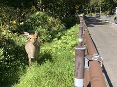 秋の道東4泊5日②　　快晴の層雲峡から第二の故郷帯広へ