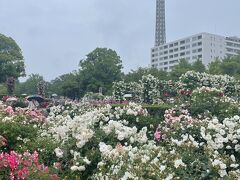 還暦同級生呑んだくれ旅～横浜・鎌倉①