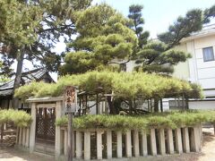 兵庫県の南側を巡ってみました。30高砂の高砂神社へ。高砂や～～～♪