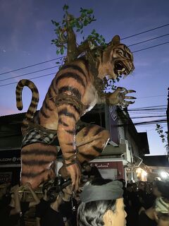 2023.3月　母娘バリ島ウブドの旅　3&#12316;4日目