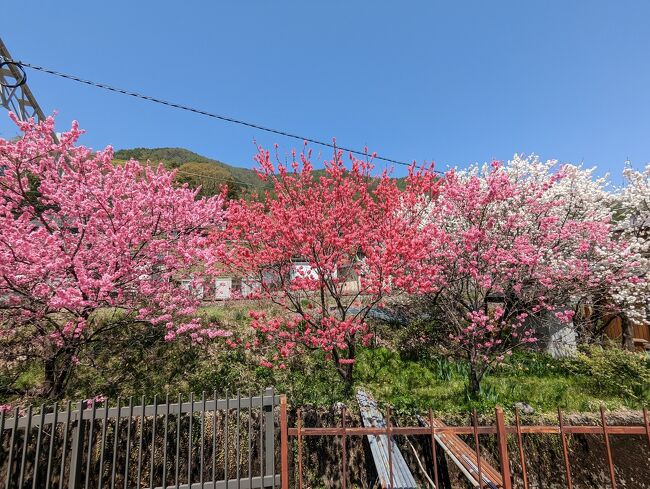 春真っ盛りの木曽谷ドライブと中山道 奈良井宿